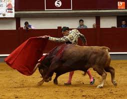 Las donaciones de Ureña y Castaño, únicas aportaciones benéficas de la  corrida de toros a favor ... - SALAMANCArtv AL DÍA - Noticias de Salamanca