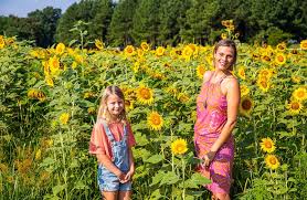 6 Sunflower Fields In Raleigh Don T