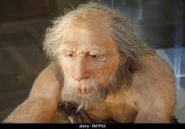 Homo neanderthalensis, neanderthal man Stock Photo - Alamy