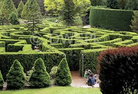 The Maze Vandusen Botanical Gardens