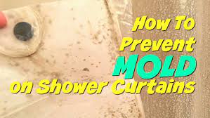 how to prevent mold on a shower curtain