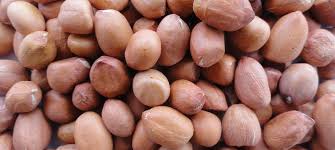 image of groundnuts à¤•à¥‡ à¤²à¤¿à¤ à¤‡à¤®à¥‡à¤œ à¤ªà¤°à¤¿à¤£à¤¾à¤®