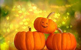 pumpkin wallpapers top free pumpkin