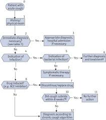 Management Of Cough In Adults European Respiratory Society