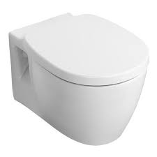 Raised Height Wall Hung Toilet