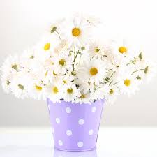 To be able to know someone enough and to trust them enough to even allow them to support you through tough times is a sign of real friendships, rowney says. Flowers Symbolising New Beginnings