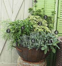 Add Herbs To Your Container Designs