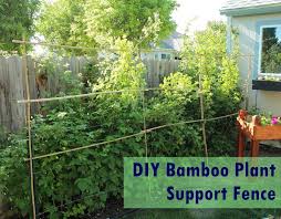 Diy Lattice Or Bamboo Plant Support Fence