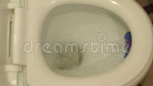 Putting this all together should shine light on how you can keep your toilet working without running water: Toilet Bowl With Running Water Close Up Slow Mo Stock Footage Video Of Drainage Outlet 102311906