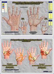 3 Phase Hand Reflex Therapy Charts