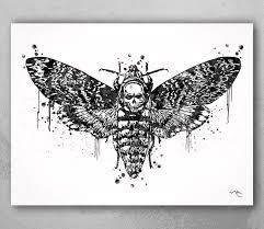 S Head Hawk Moth Watercolor Art