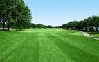Silverthorn Country Club - The Course