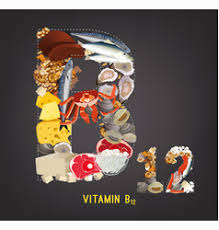 sardines vitamin b12 vector images 21