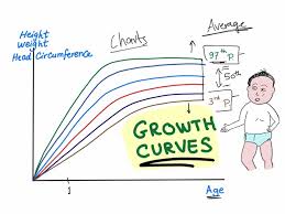 growth charts percentile curves are