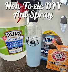 non toxic diy ant spray lou lou s
