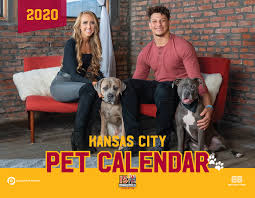 Rescued animals up for adoption at kc pet oproject. Press Release Companion Protect And Brittany Matthews Launch 2020 Kc Pet Calendar Companion Protect