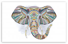 elephant ultra hd desktop background