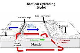 3 2 seafloor spreading diagram quizlet