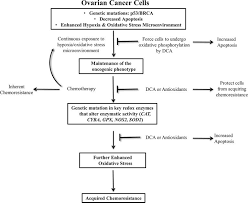 pathogenesis of ovarian cancer