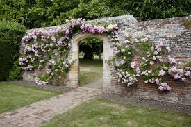 garden arch ideas for a more visually