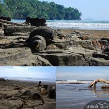 Pantai ini juga dikenal dengan air manis beach and malin kundang stone. Pantai Air Manis Padang Sumbar Tukangpantai