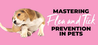 mastering flea and tick prevention in