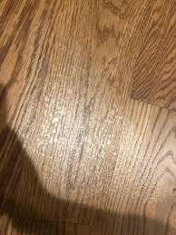 steam mop damage to wood floors