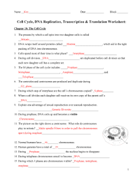 D) the sequence of carries the genetic information of an organism. Dna Replication Practice Worksheet Answer Key Promotiontablecovers