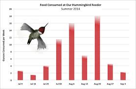 Hummingbirds Food Consumed At Feeders