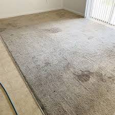 same day carpet cleaning ta carpet