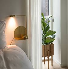 Welche verschiedenen sorten gibt es? Die Richtige Zimmerpflanze Fur Ihr Schlafzimmer Der Schlaf Und Raum Blog