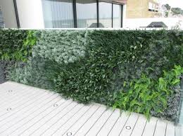 Images Of Artificial Green Walls