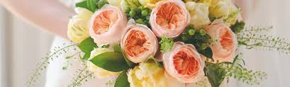 › bulk wedding flowers wholesale. Florabundance Wholesale Flowers For Floral Designers
