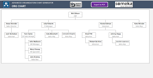 Automatic Organizational Chart Generator Advanced Version