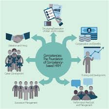 Components Of Competency Based Management Talent