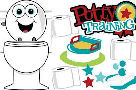 Potty Training Basics The First 3 Days And The First Year