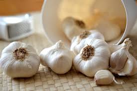 Organic garden pest control recipe #1. Garlic Alcohol Here S How To Make A Natural Insecticide