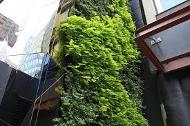 Livewall Vertical Plant Wall System