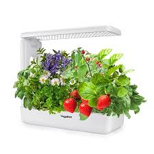 vegebox hydroponics growing system
