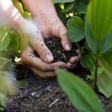 Adding Compost To Garden Soil Planet