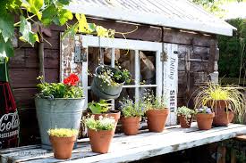 Potting Shed Shutters And New Flowers