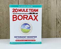 does borax kill fleas