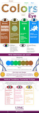 Infographic Eye Color Breakdown Guide Upmc Healthbeat