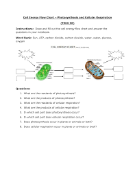 Cell Energy Flow Chart Photosynthesis And Cellular