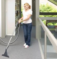 thomas vacuum carpet cleaner robert