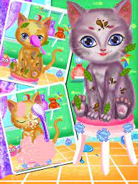 pet cat makeup salon game on the