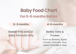 baby food guide the right food to feed