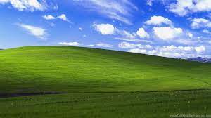Gallery For Funny Windows Xp Bliss ...