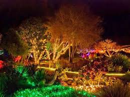 Holiday Lights Garden