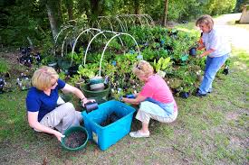 master gardener program educates volunteers